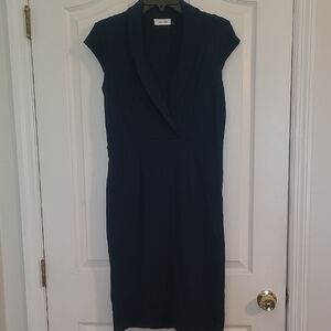 Calvin Klein Blue Sheath Dress with Cowl Neck